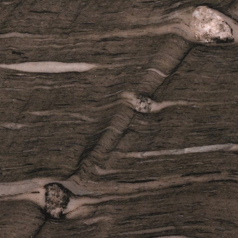 Brown Silk