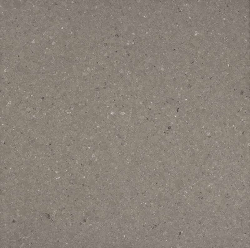 Shitake 4230