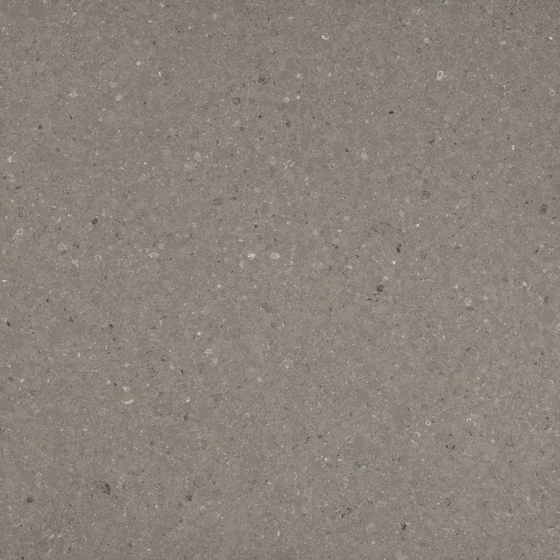 Shitake 4230